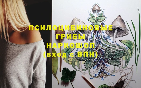 спиды Абинск