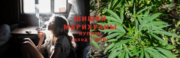 винт Алексеевка