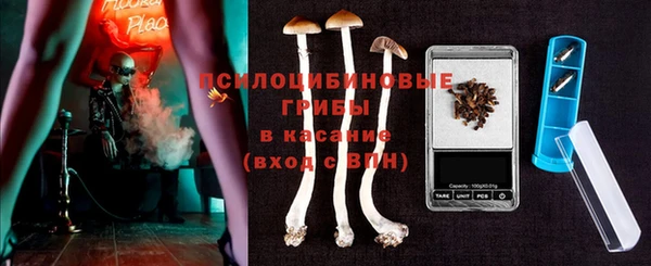 дурь Алексин